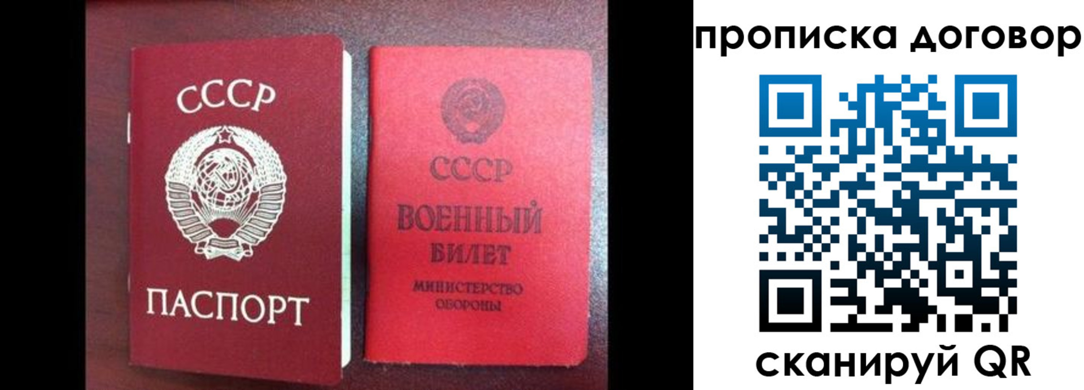 временная регистрация надежно в Мытищах